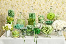 Green Candy Buffet